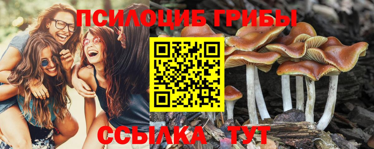 A-PVP СК   Кокаин  ГАШ  Вход с VPN  Как найти закладки?  Меф МЯУ МЯУ кристаллы  Родники  МАРИХУАНА 