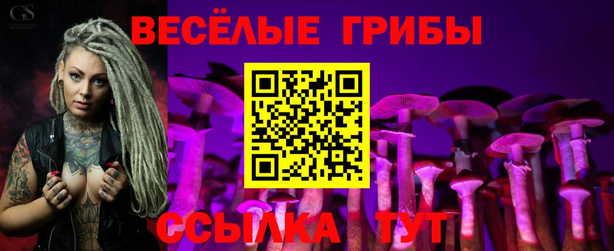 Галлюциногенные грибы Psilocybine cubensis Родники